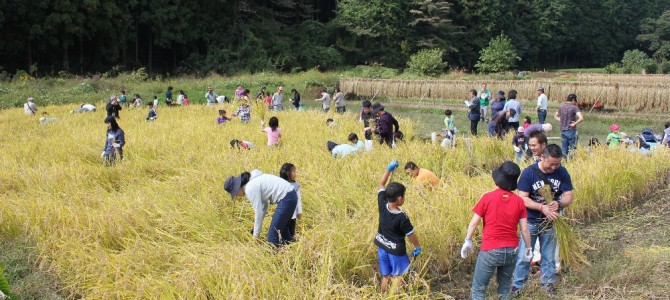 2015.10.18　おそきDEプチ田舎暮らし　稲刈り体験を行いました！（東京都青梅市小曾木地区）